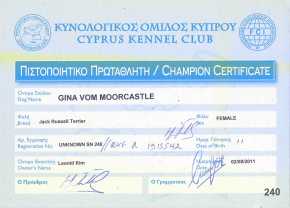 Чемпион Кипра
