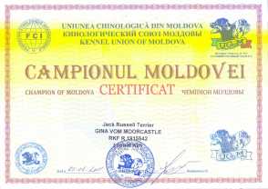 Чемпион Молдовы